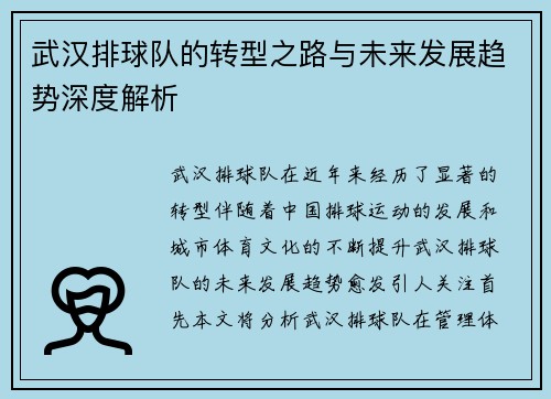 武汉排球队的转型之路与未来发展趋势深度解析