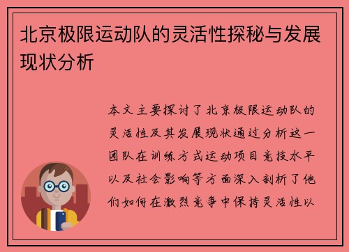 北京极限运动队的灵活性探秘与发展现状分析